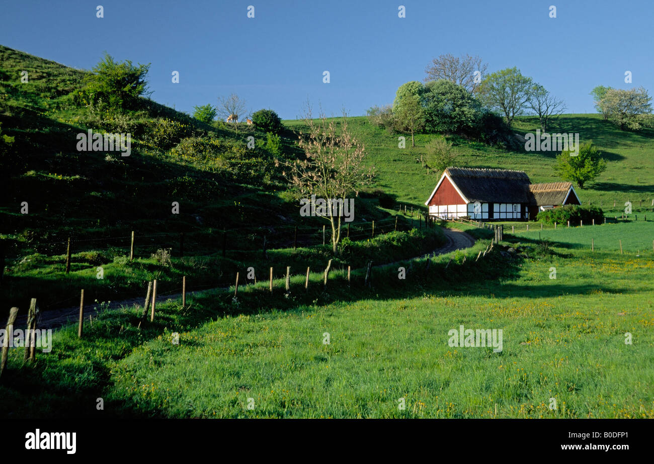 Landscape with old farmhouse in Skane Stock Photo