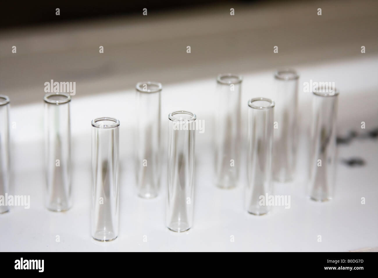 Test Tubes in rack Stock Photo Alamy