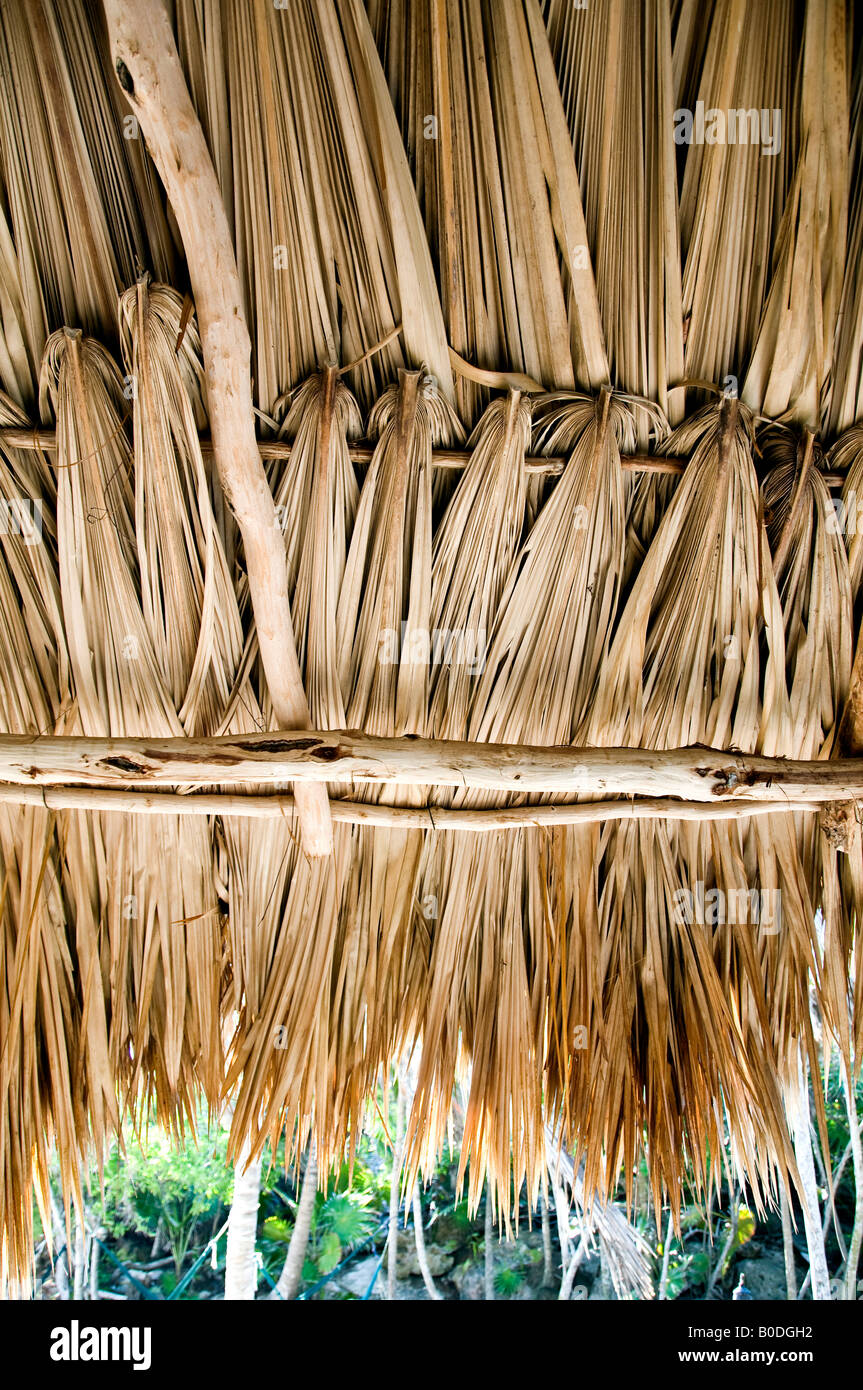 Close-up detail of palm leaf roof to a building at Luna Maya hotel near Tulum, Yucatan, Mexico Stock Photo