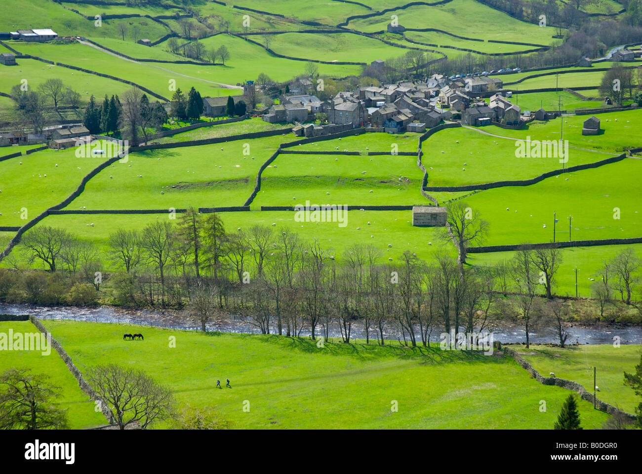 Two walkers cross a field, near village of Muker, Upper Swaledale, Yorkshire Dales National Park, England UK Stock Photo