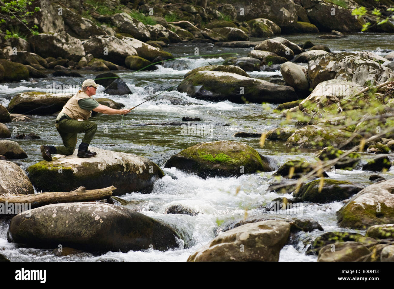 Man Fly Fishing on the Middle Prong of the Little River in Tremont