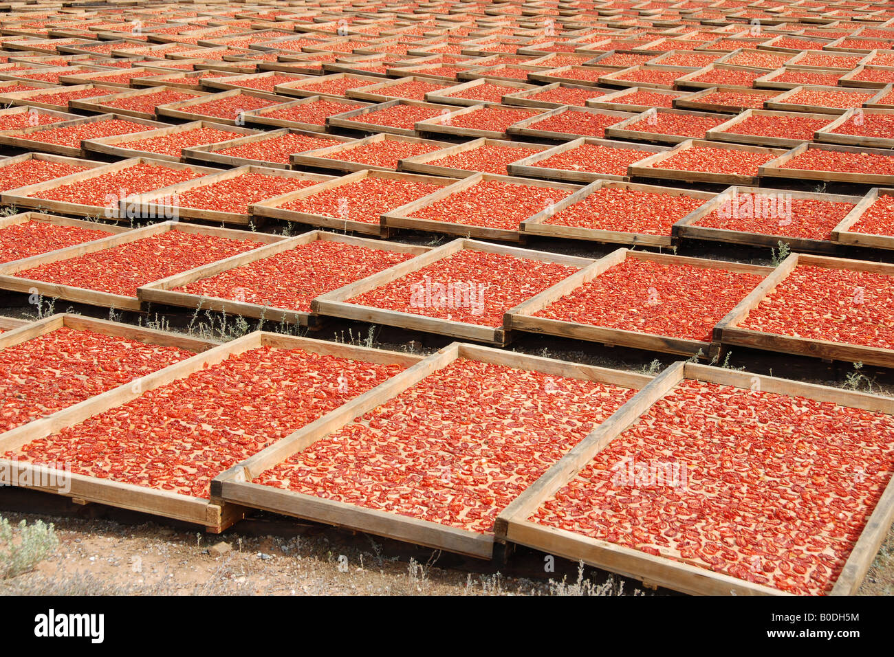 Montagu dried fruit & nuts (11 Stock Photo Alamy
