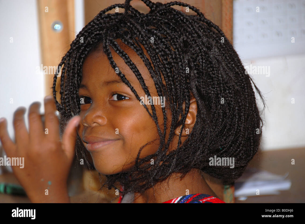 A shy brown eyed girl, with beautiful braided hair. Stock Photo