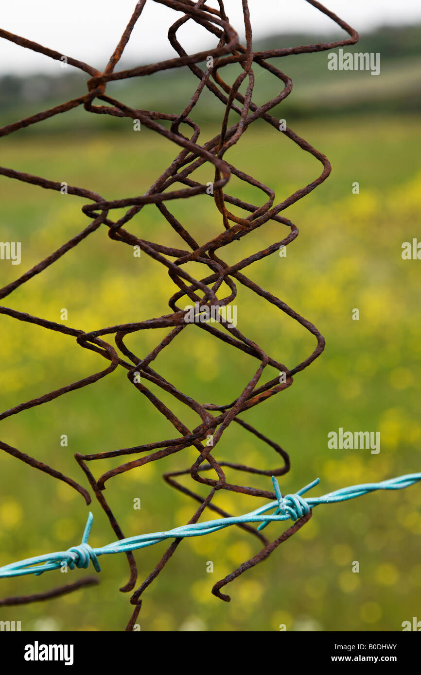Barbed Wire in the countryside Stock Photo