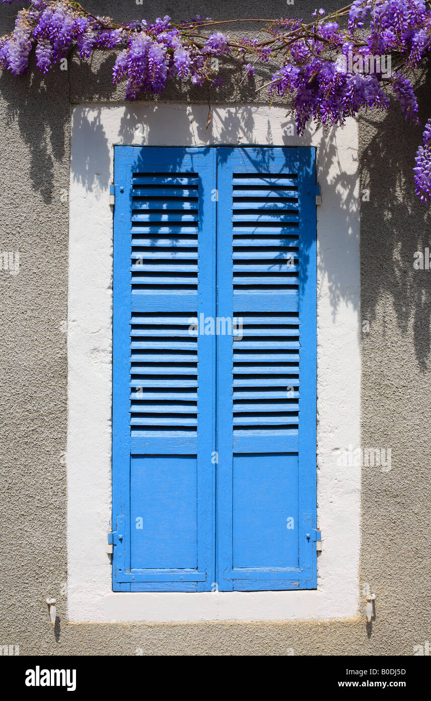 Blue Shutters with Wisteria in Burgundy, France. Stock Photo