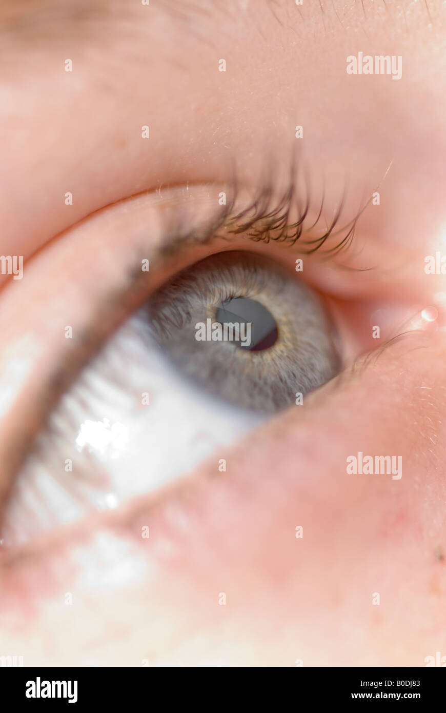 Close up of a 12 year old caucasian girl's eye Stock Photo