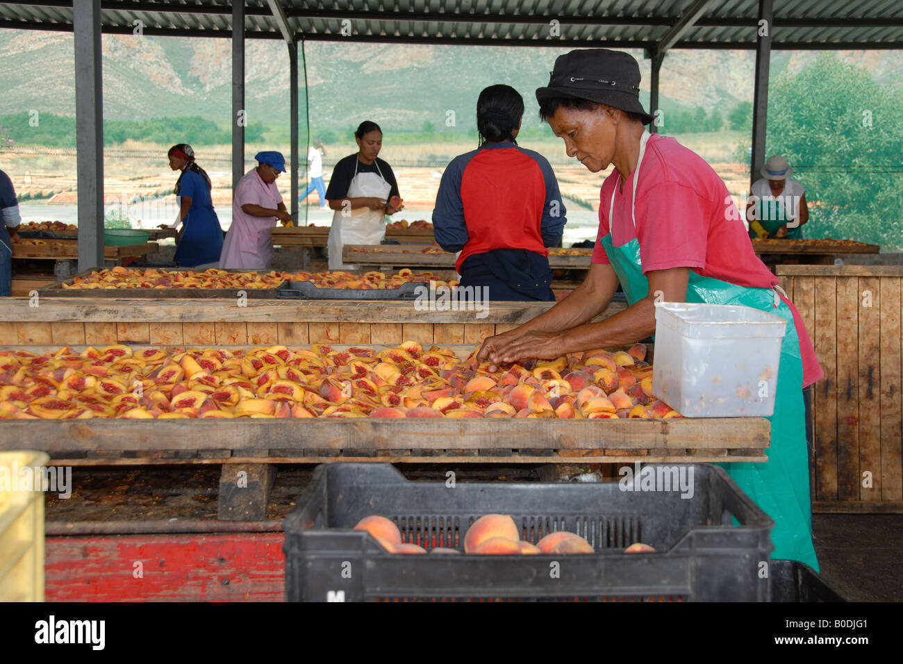 Montagu dried fruit & nuts (3 Stock Photo Alamy