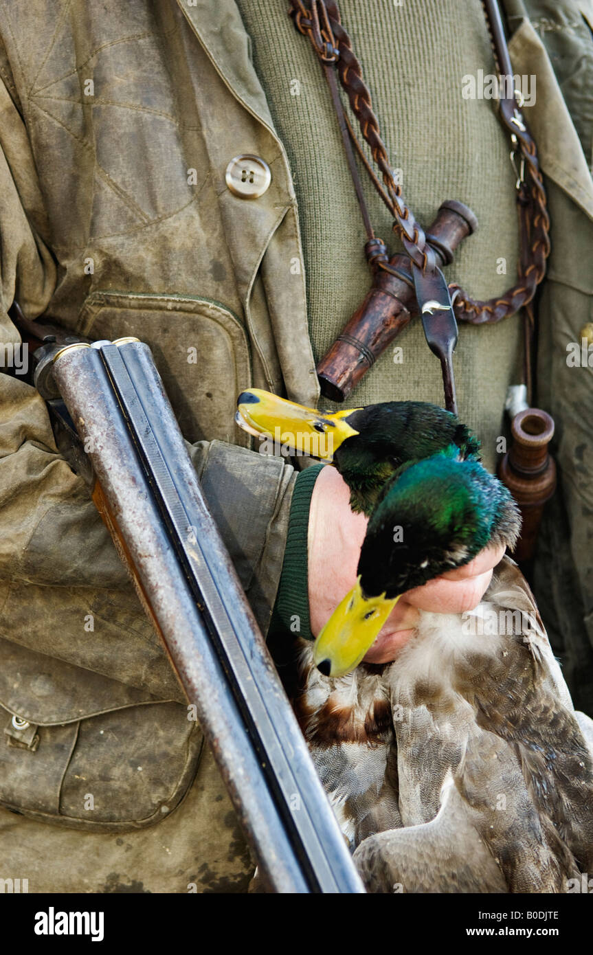 Close-up of Duck Hunter Holding Shotgun and Pair of Mallards Stock Photo