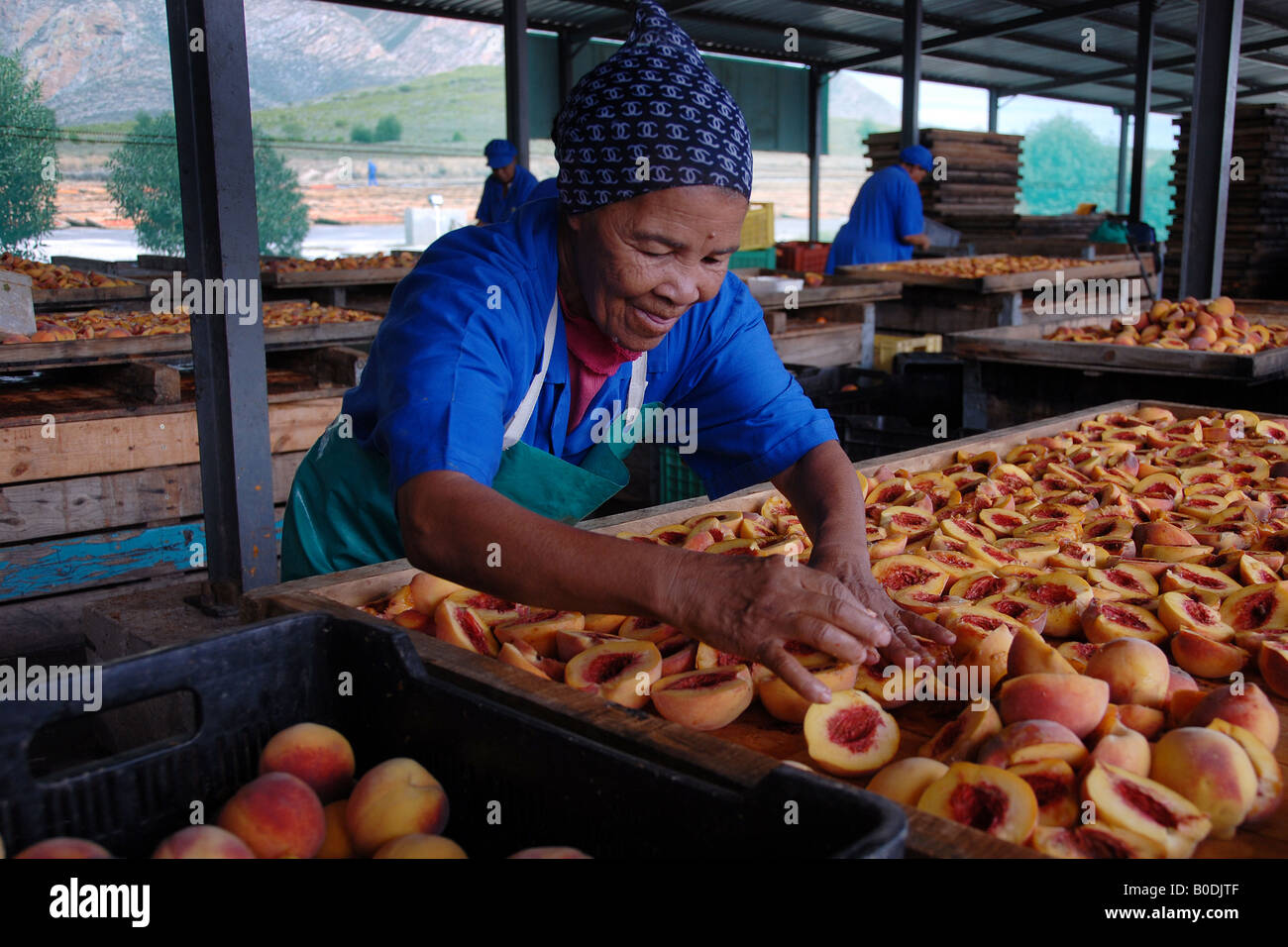 Montagu dried fruit & nuts Stock Photo Alamy