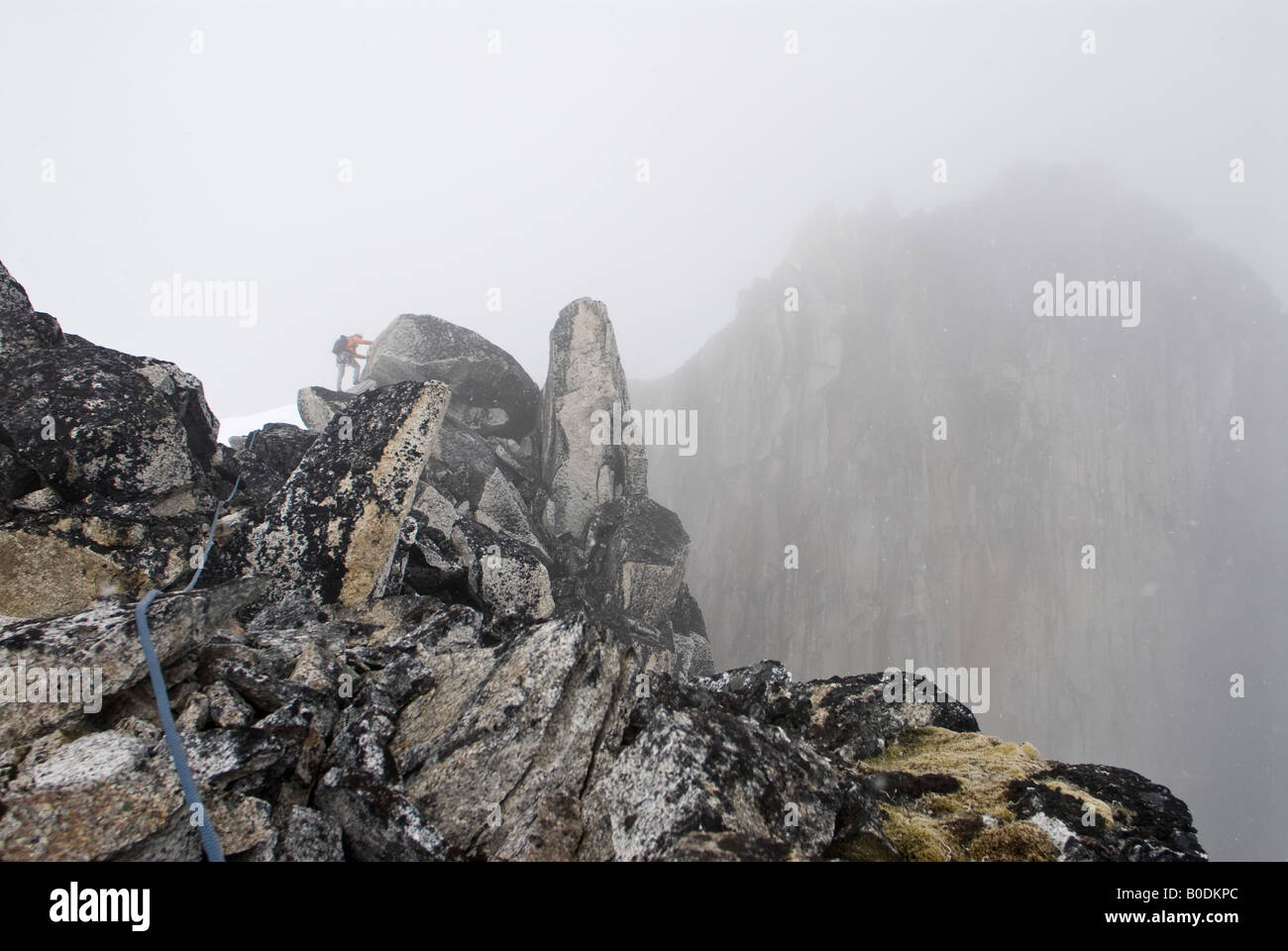 Man climbing in the fog on the summit ridge of The Throne, Little Switzerland, Pika Glacier, Alaska Stock Photo
