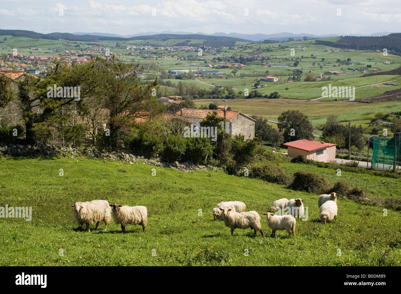 Cantabria region SPAIN Stock Photo
