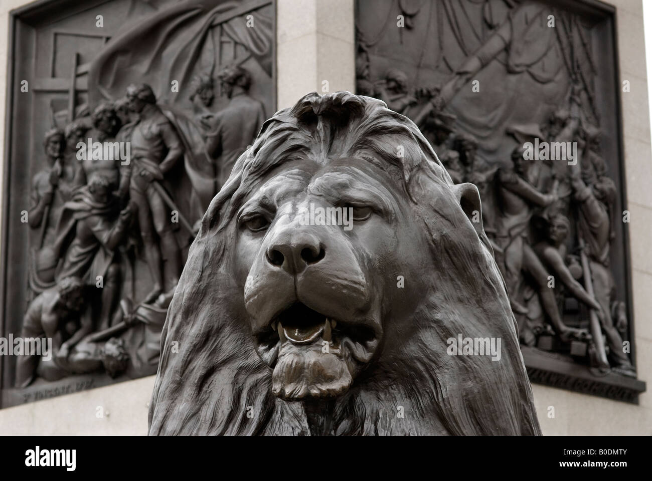 Trafalgar Square London England UK One of the four Lions by Sir Edwin Landseer at the base of Nelsons column in Trafalgar Square Stock Photo