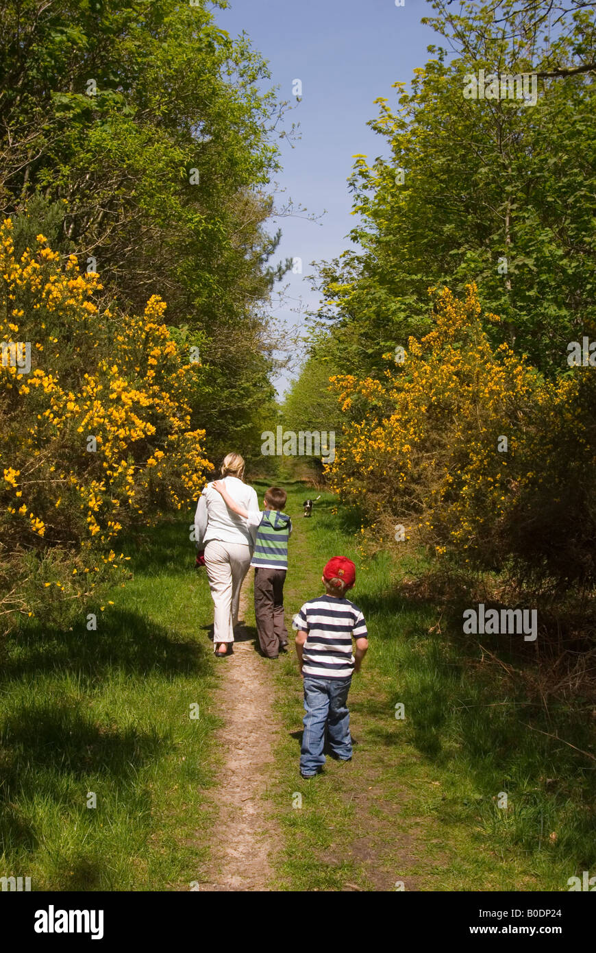 Family Going For A Walk At Dunwich Forest,Suffolk,Uk Stock Photo