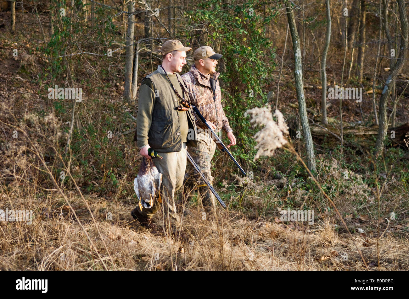 The Duck Hunt Hi-res Stock Photography And Images - Alamy