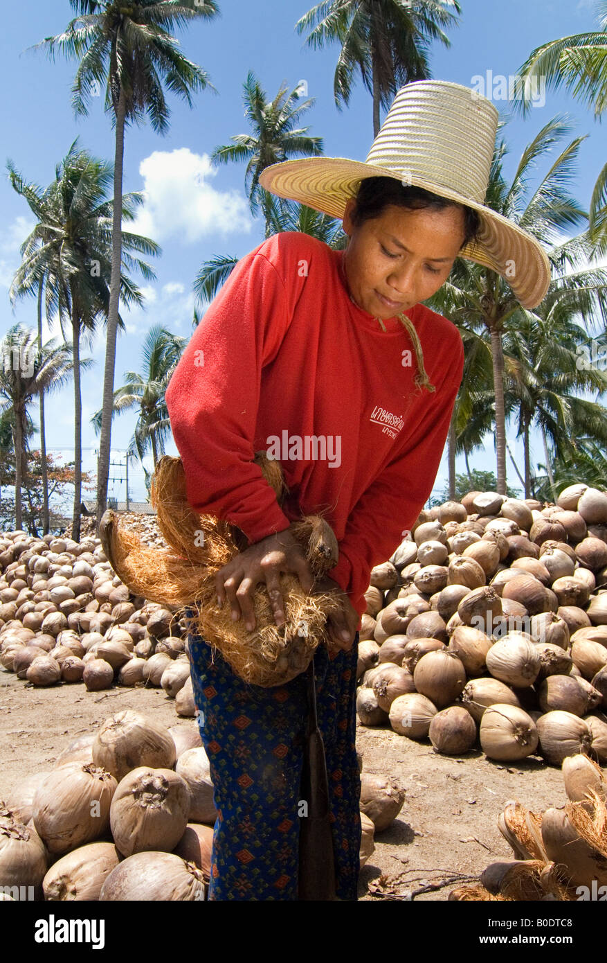 A beautiful village woman works with the husk from a coconut her hat shields her from the hot tropical sun Stock Photo