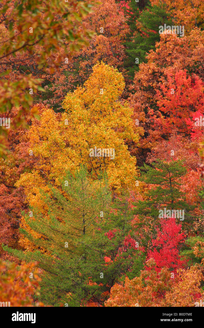 Colorful fall trees off Fort Mountain in Rural Northwest Georgia Stock ...