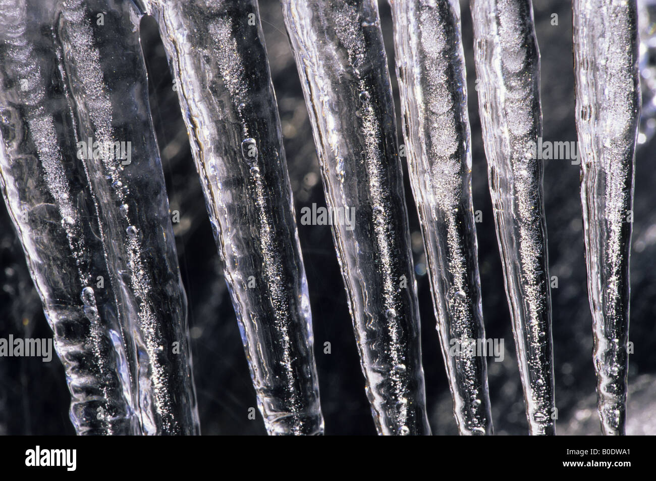 Icicles hang from a branch over a rushing stream in early spring. Stock Photo