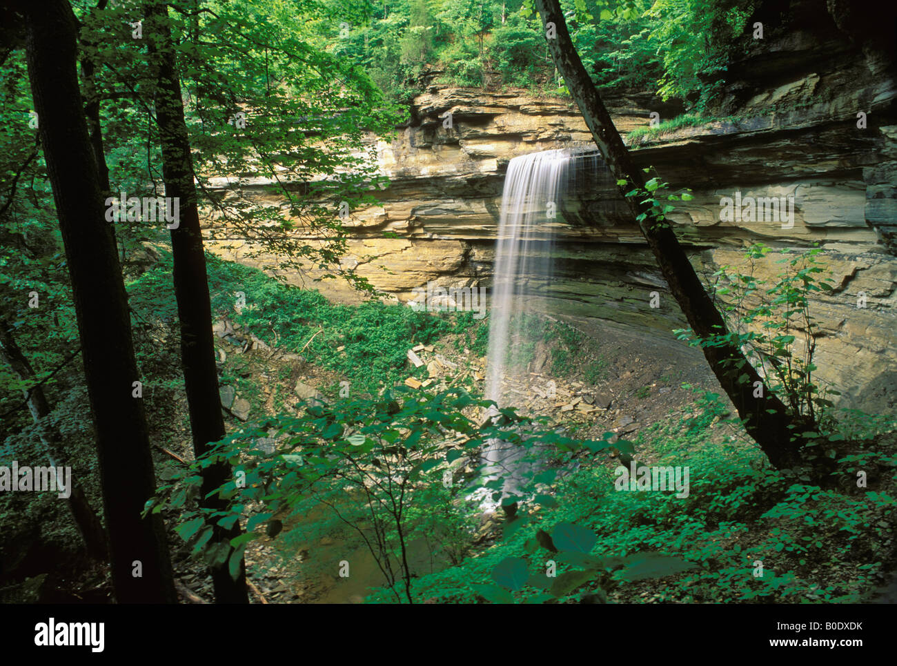 Tunnel Falls at Clifty Falls State Park in Jefferson County Indiana