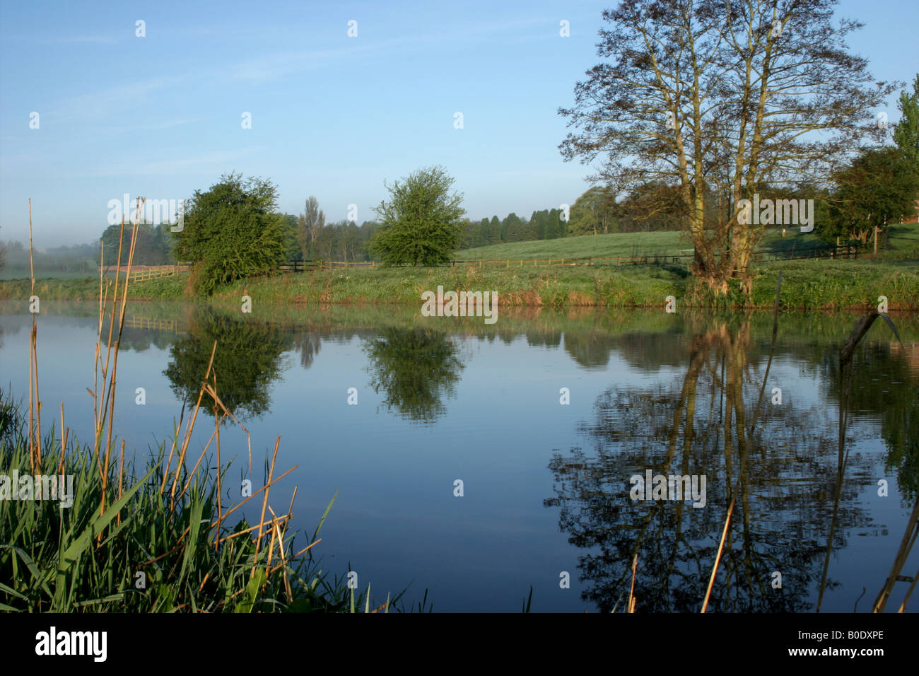 river caldew in carlisle Stock Photo Alamy