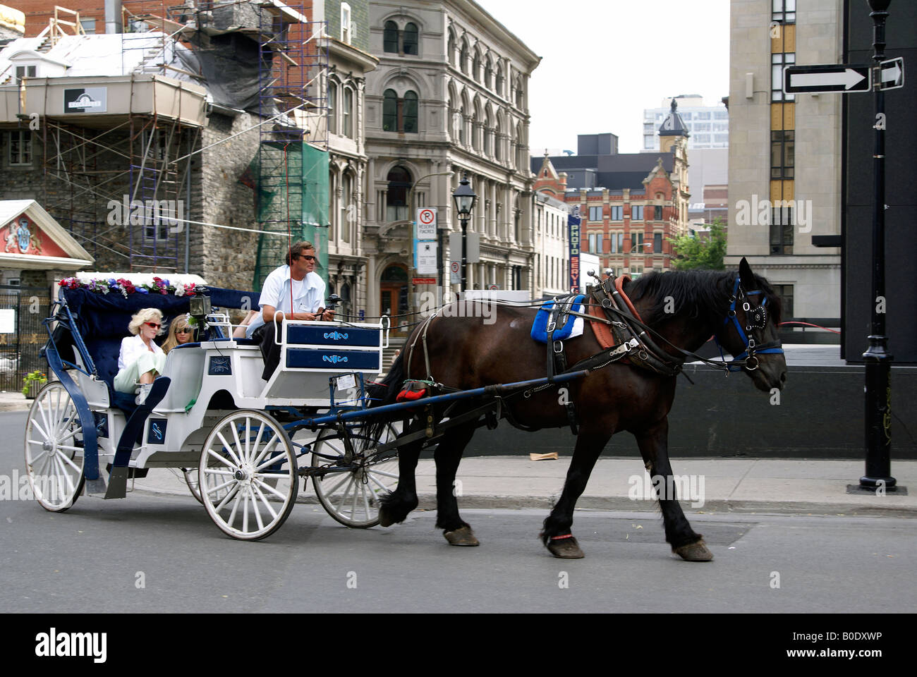 horsedrawn carriage Montreal Quebec Canada Stock Photo Alamy