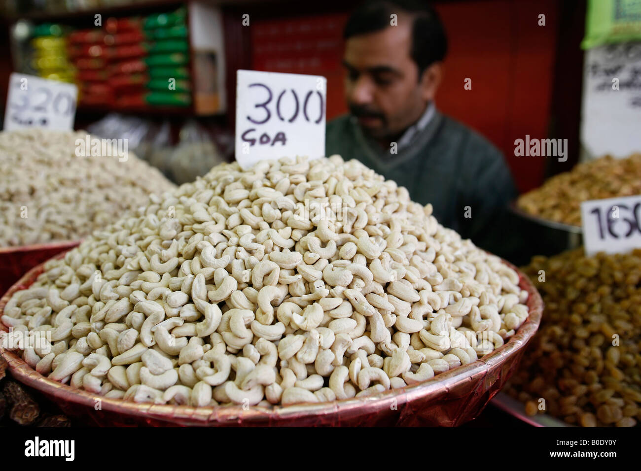 cashew market in india