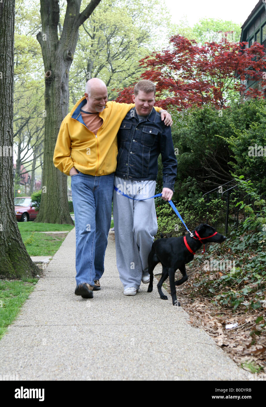 Gay male couple walking their dog Stock Photo - Alamy