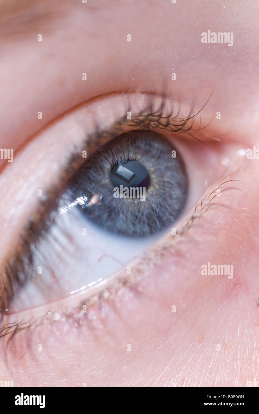 Close up of a 12 year old caucasian girl's eye Stock Photo