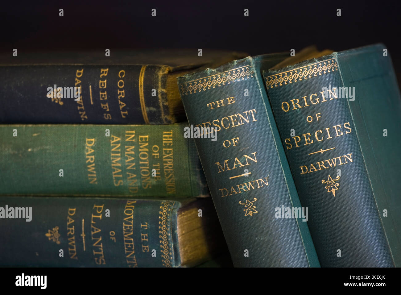 Books by Charles Darwin including On the Origin of Species and The Descent of Man Stock Photo