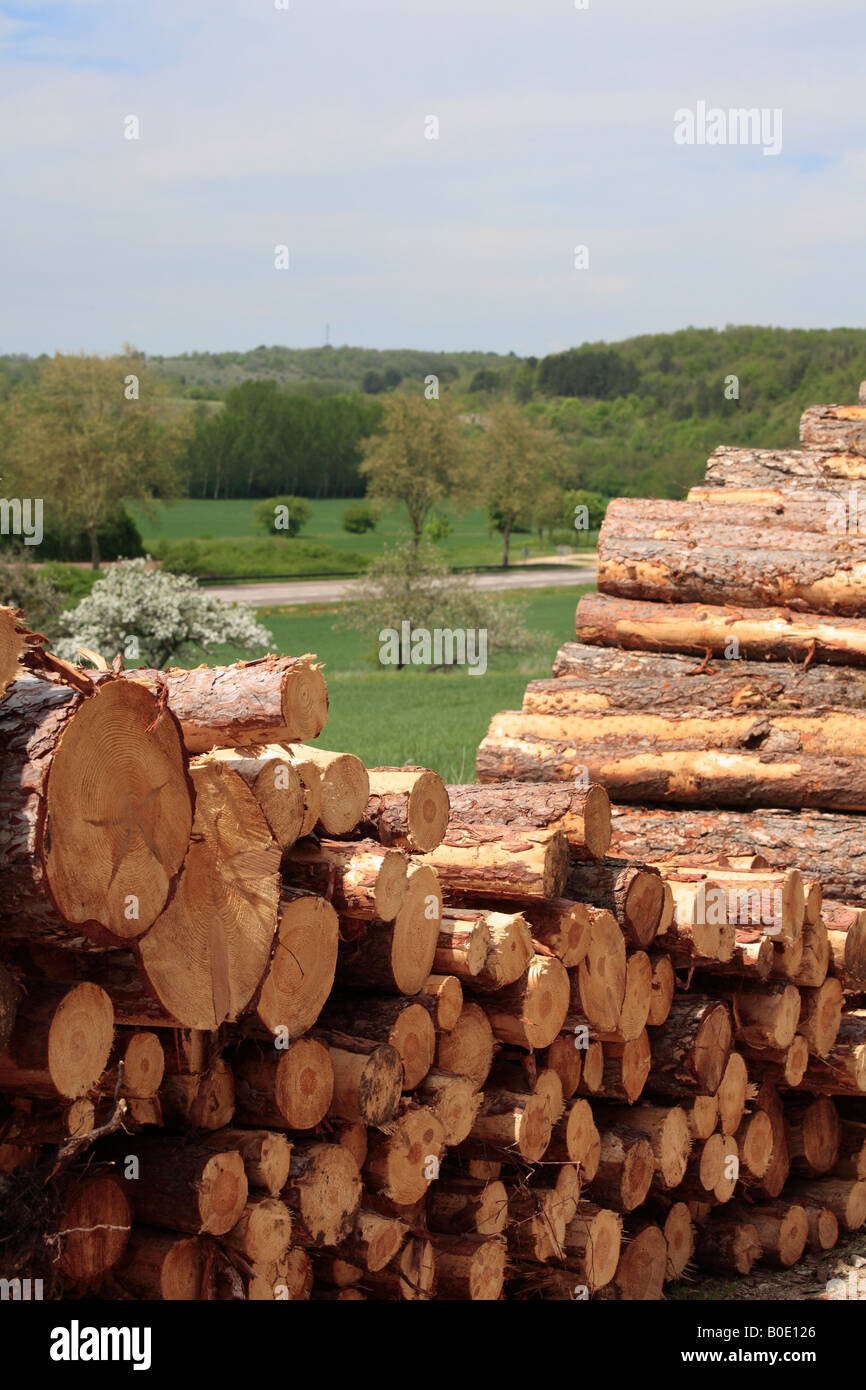 Piles of Sawn Logs in Rural Landscape Stock Photo
