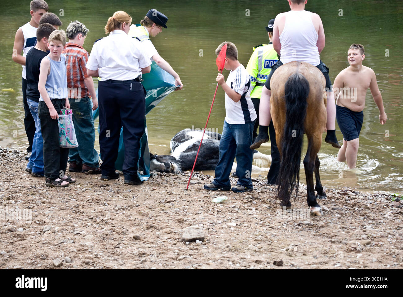 Horse Drowning Appleby Fair 2007 17 Stock Photo - Alamy