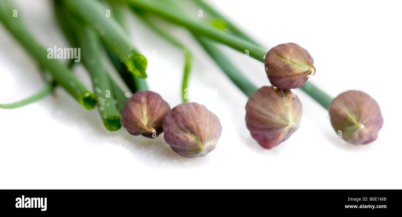 Spring onion isolated hi-res stock photography and images - Alamy