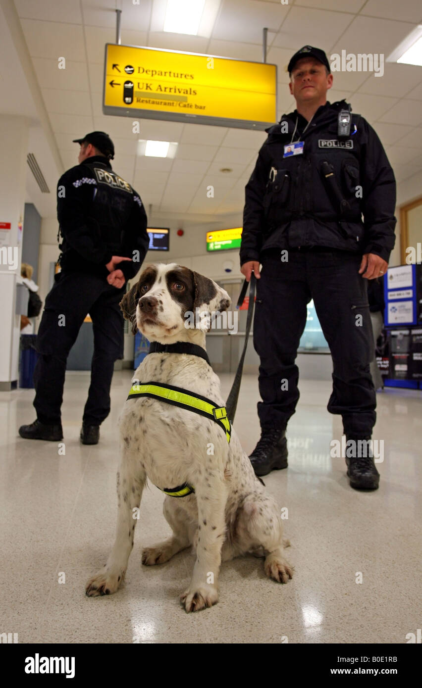 Police officers with drug sniffer dog on duty in Aberdeen airport