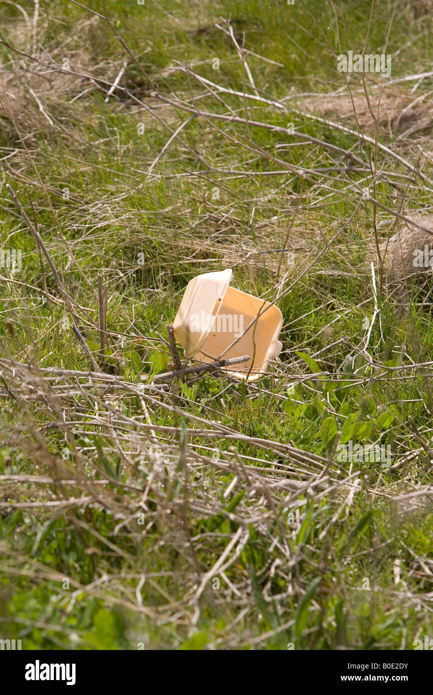 Discarded polystryene burger box litter laying on green grass field off a path in the countryside of Kent, England, UK Stock Photo
