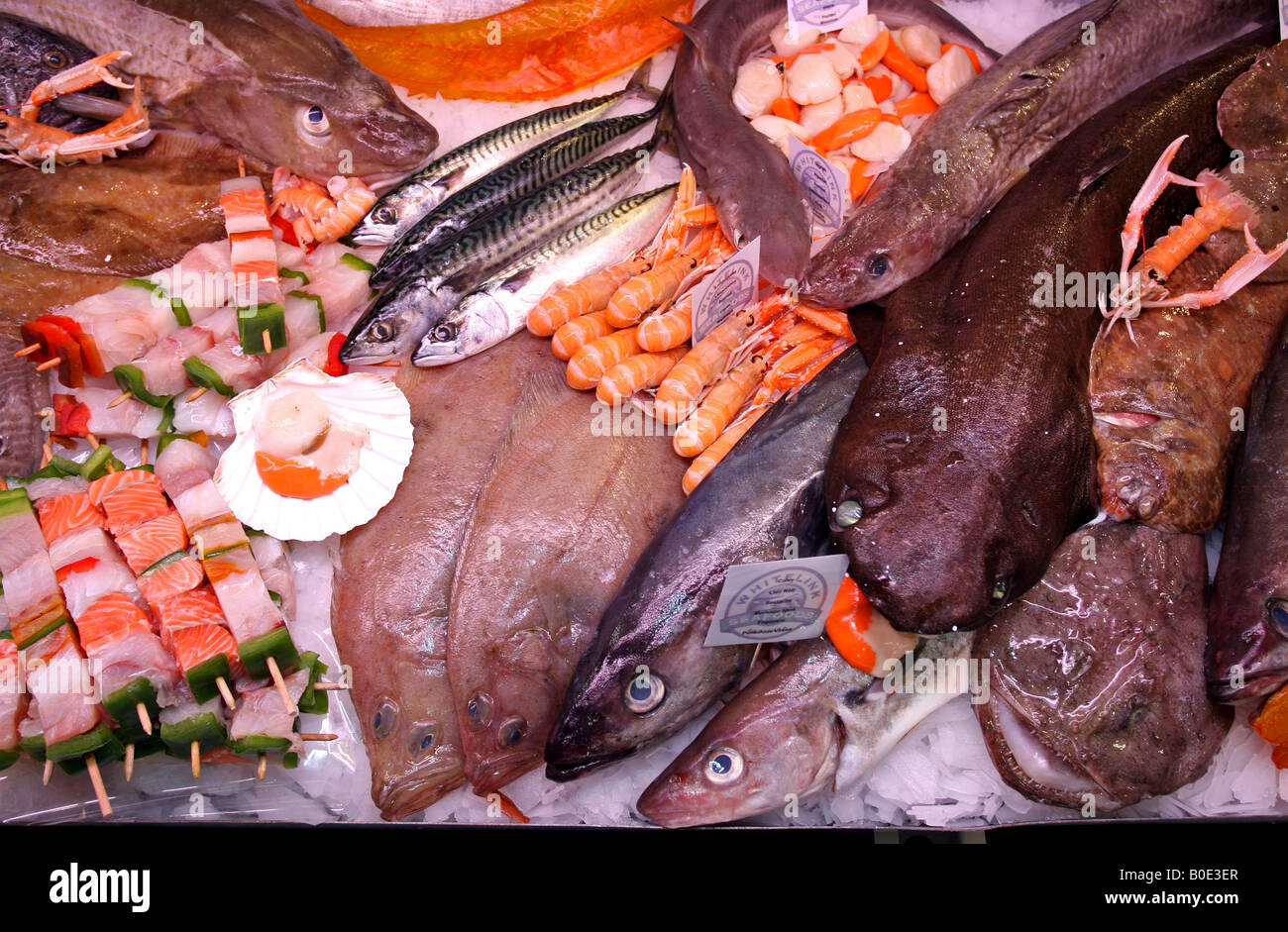 A display of various types of fish Stock Photo