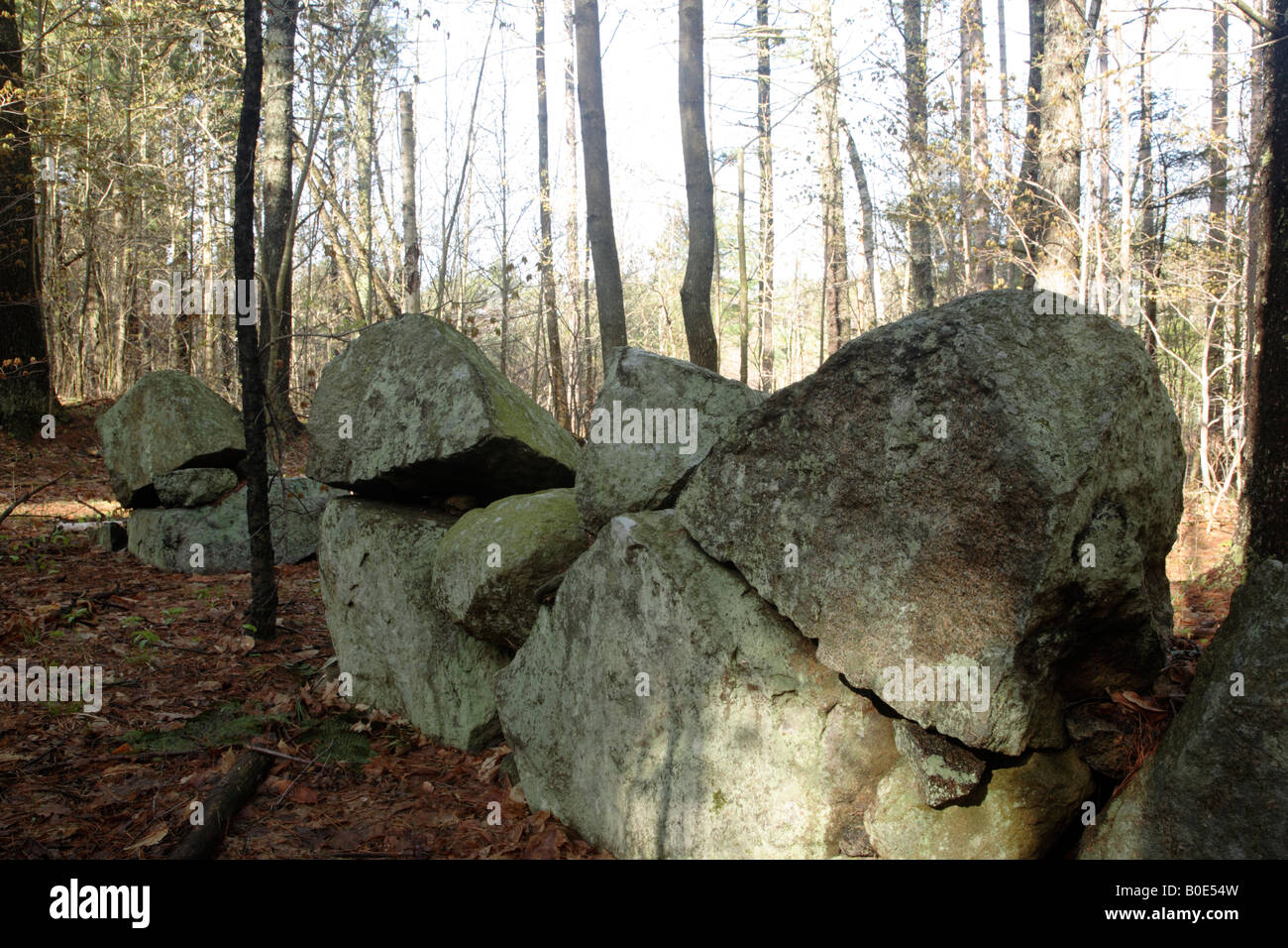 Stone wall new england forest hi-res stock photography and images - Alamy