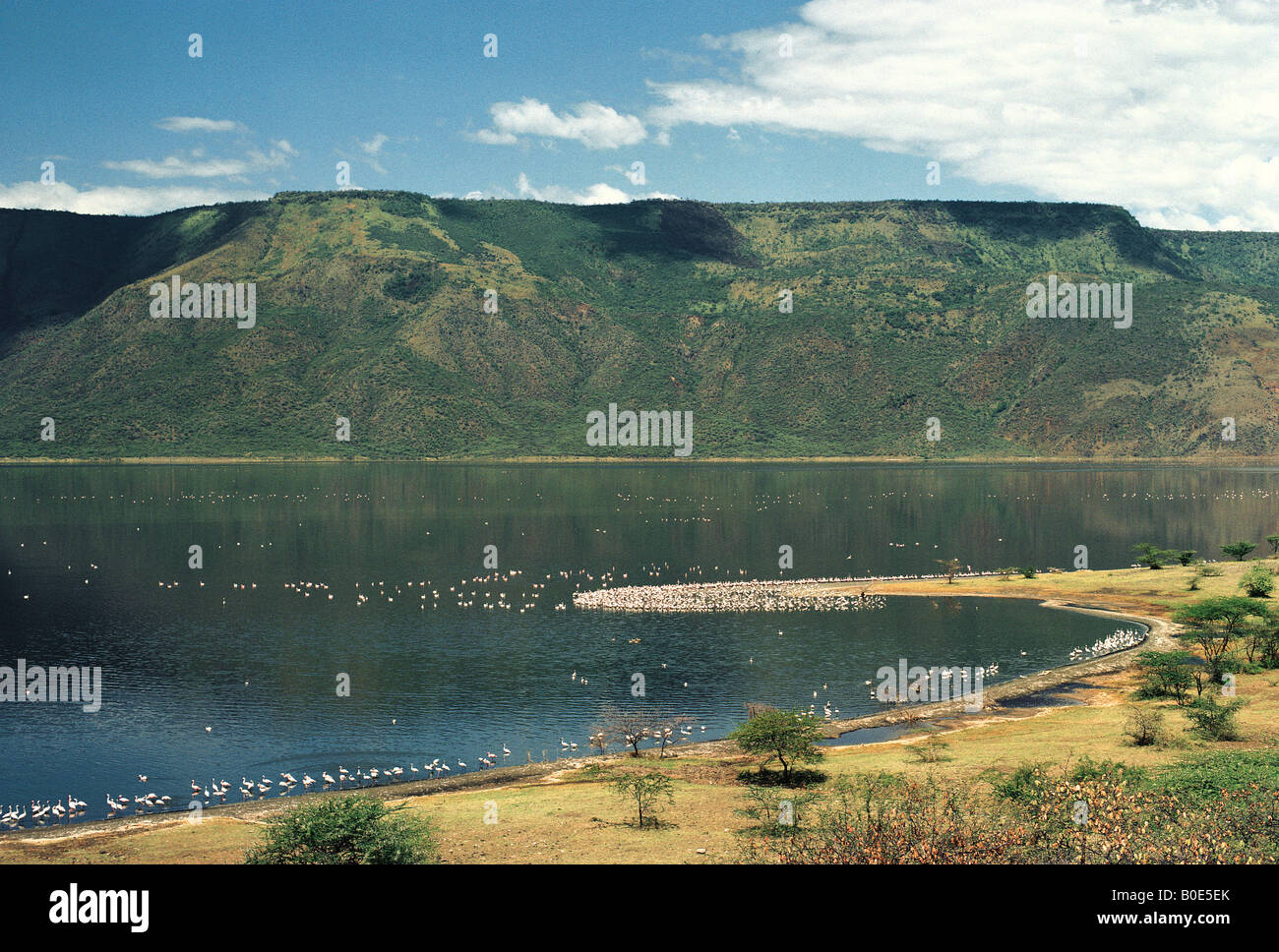 great rift valley east africa