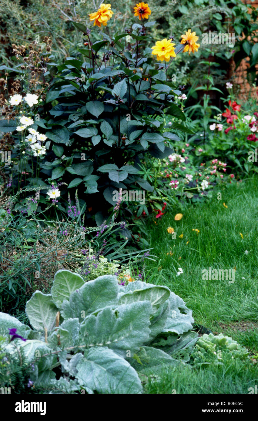 Cottage garden border hi-res stock photography and images - Alamy