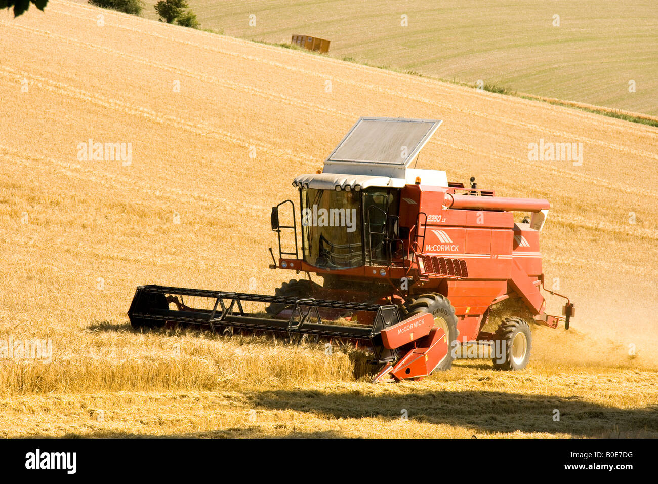 A combine harvester harvesting in a field of ripe wheat in the sun ...