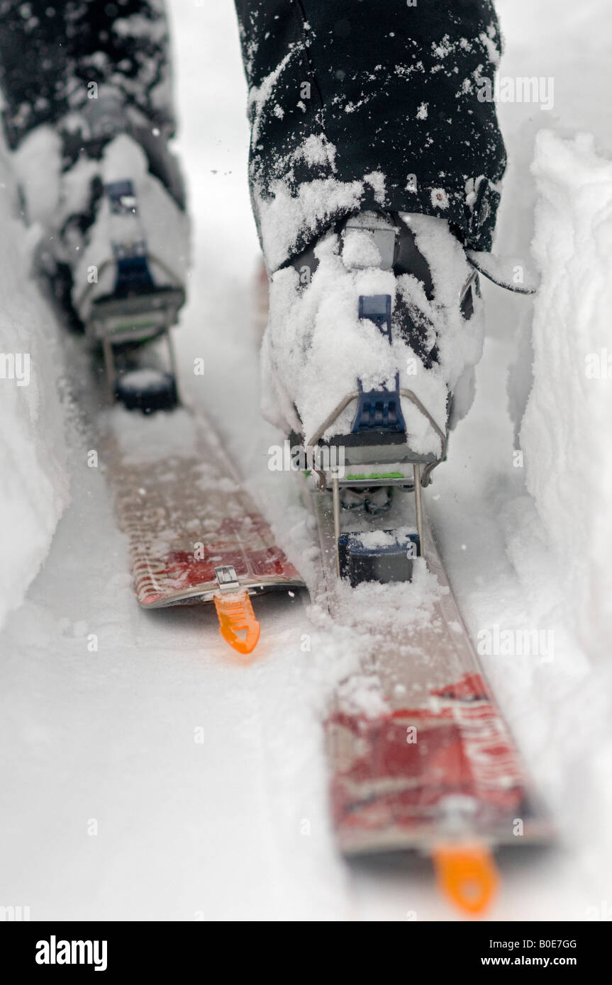 Closeup of telemark skis skinning on a trail in the backcountry Stock