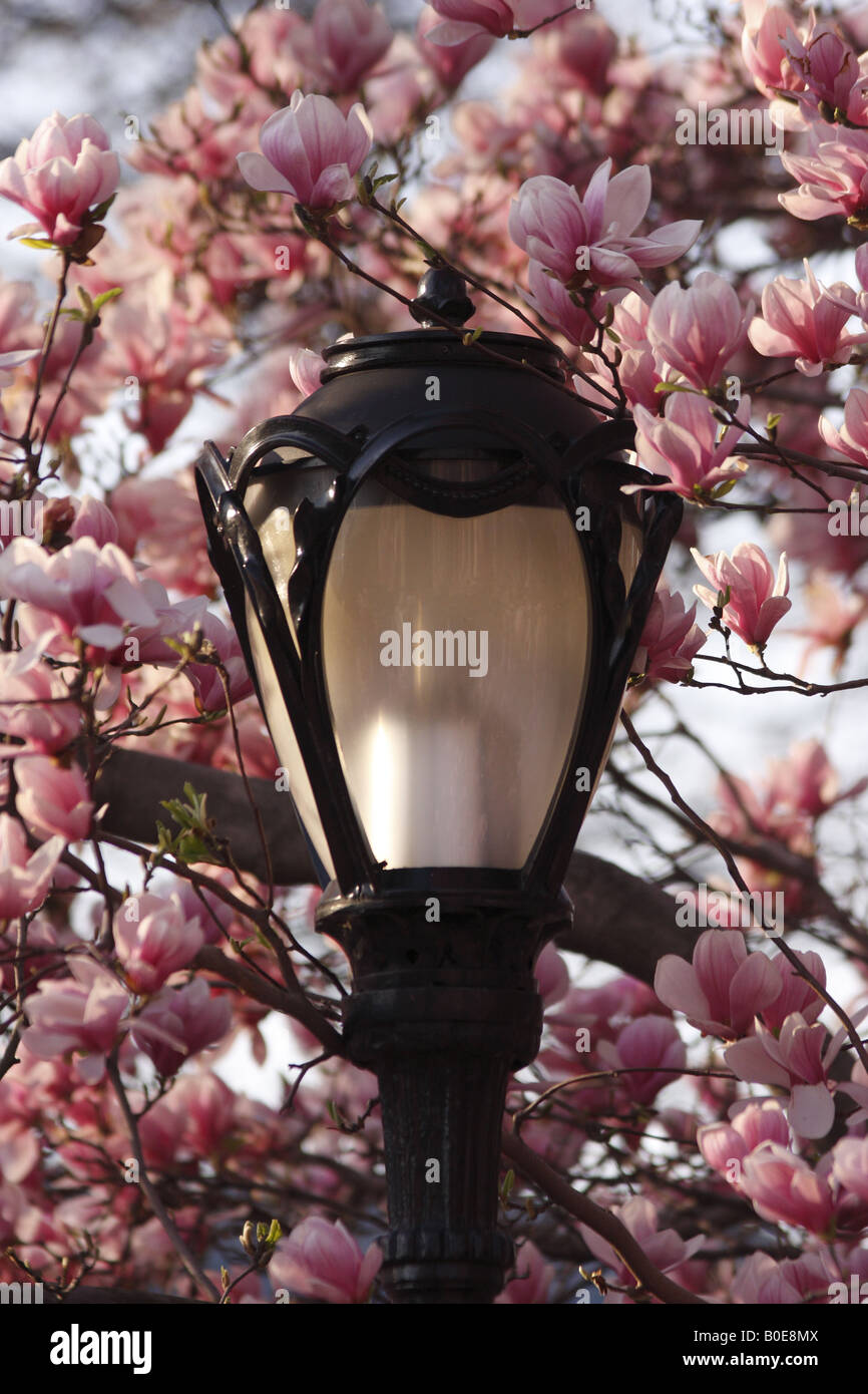 Early spring in Central Park New York City Stock Photo - Alamy