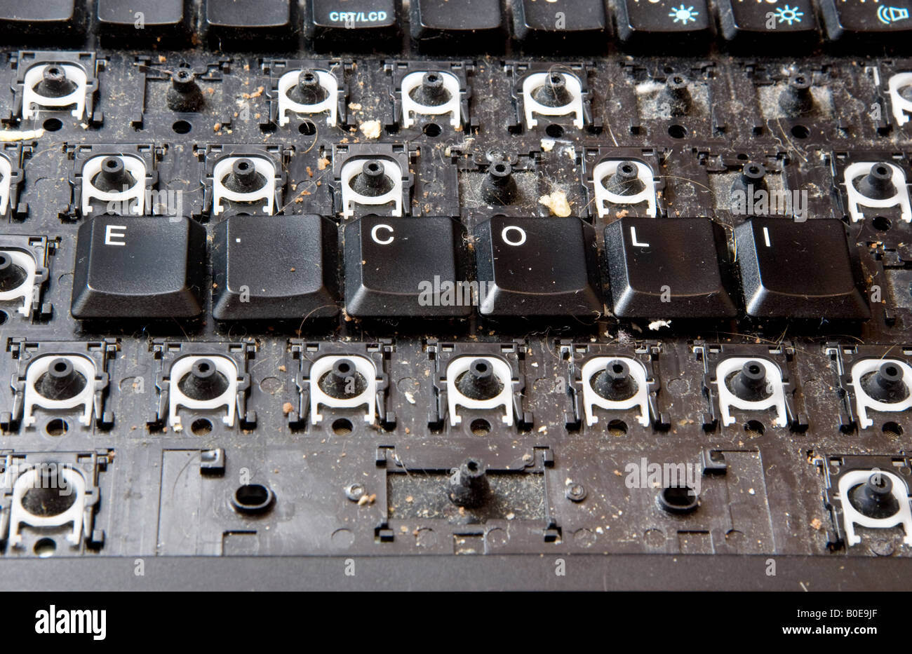 Keys on a dirty computer keyboard spelling E. Coli. The keys have been removed reveal old crumbs of food harbouring bacteria Stock Photo