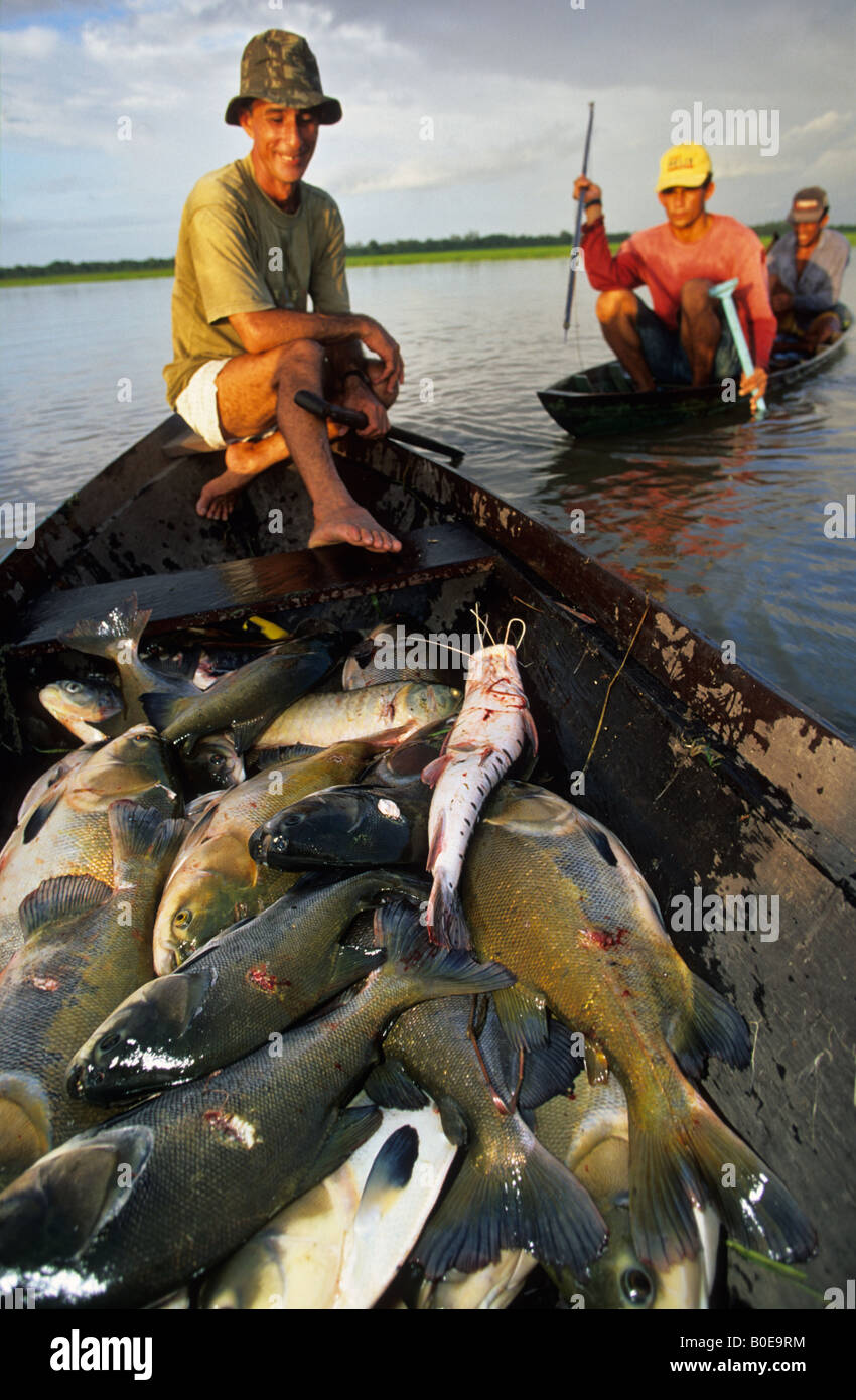 Harpoon fishing america hi-res stock photography and images - Alamy