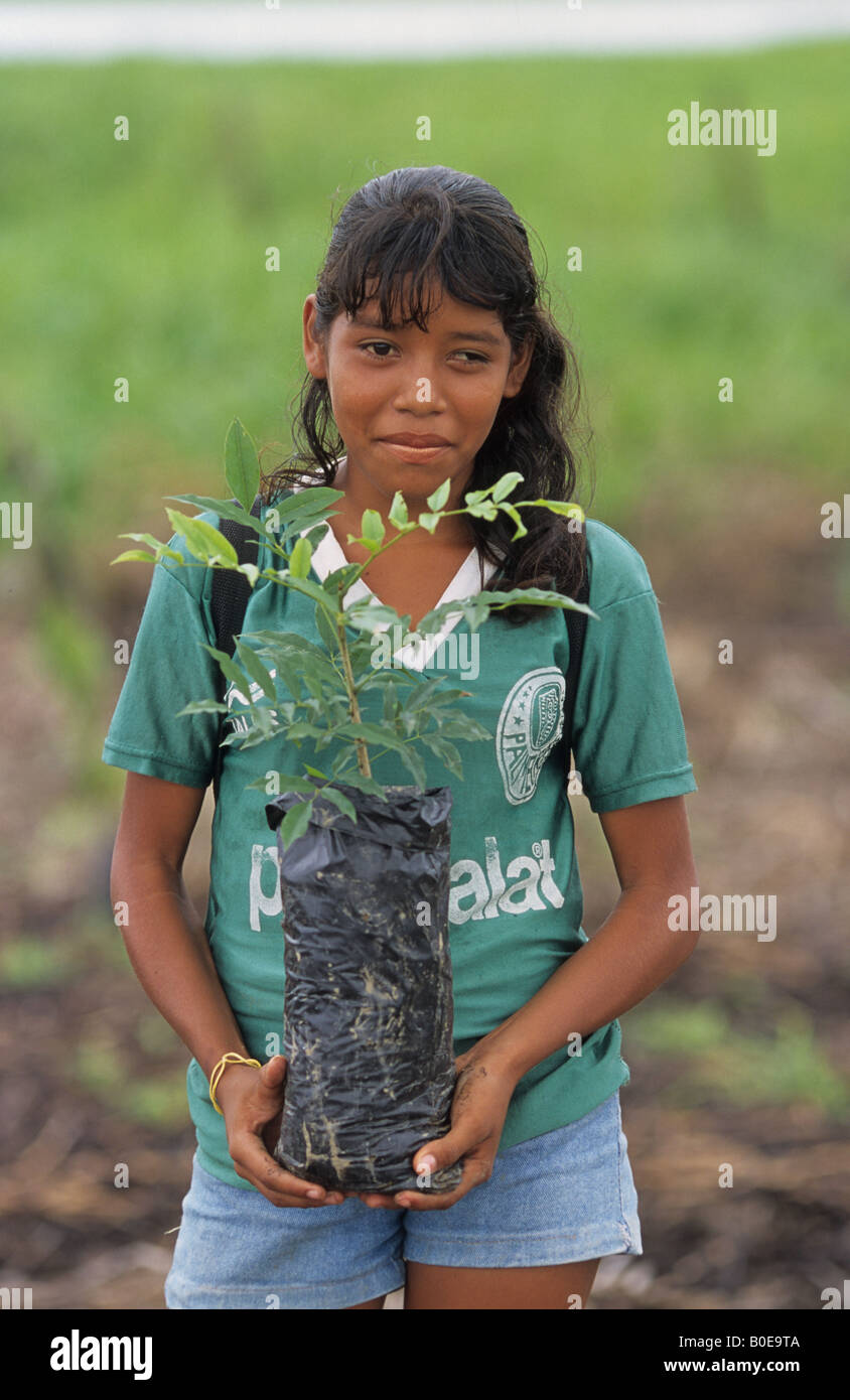 Amazon forest planting hires stock photography and images Alamy