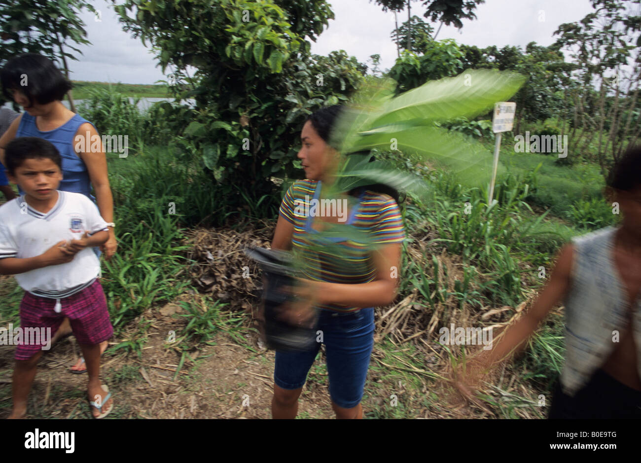 remote rainforest community unloading rainforest tree seedlings to