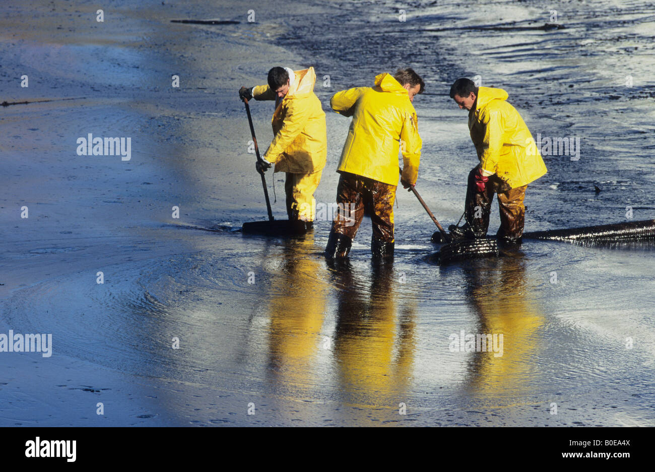 Cleaning up oil spill from pollution caused by the Sea Empress tanker