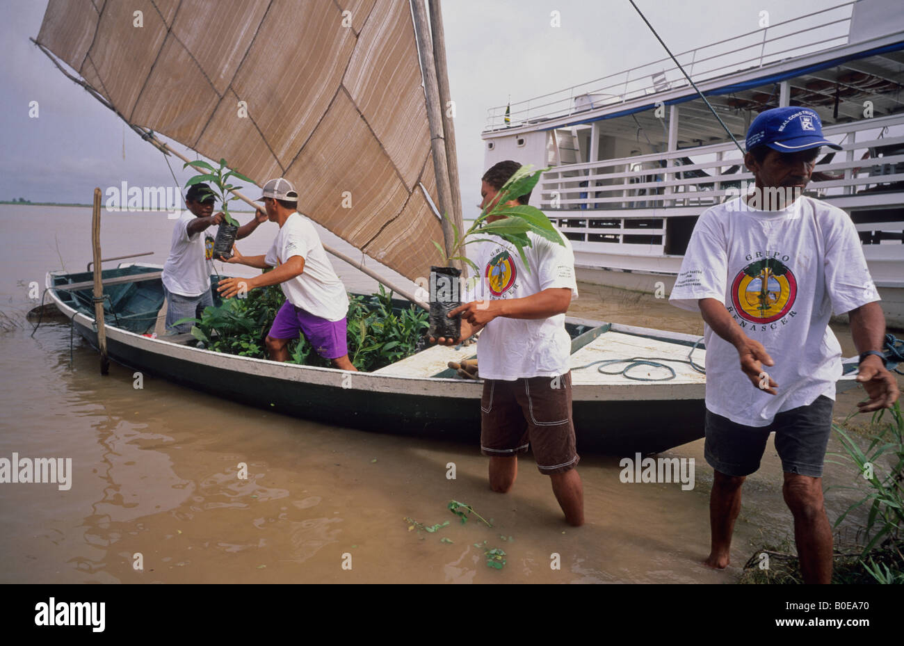local people unloading tree seedlings to replant area of deforestation