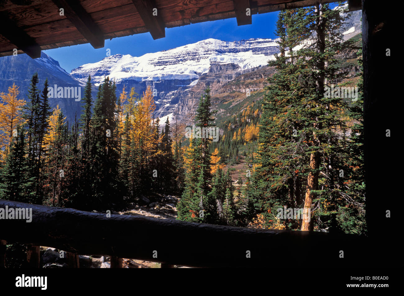 Mount Victoria from the Plain of Six Glaciers tea house above Lake