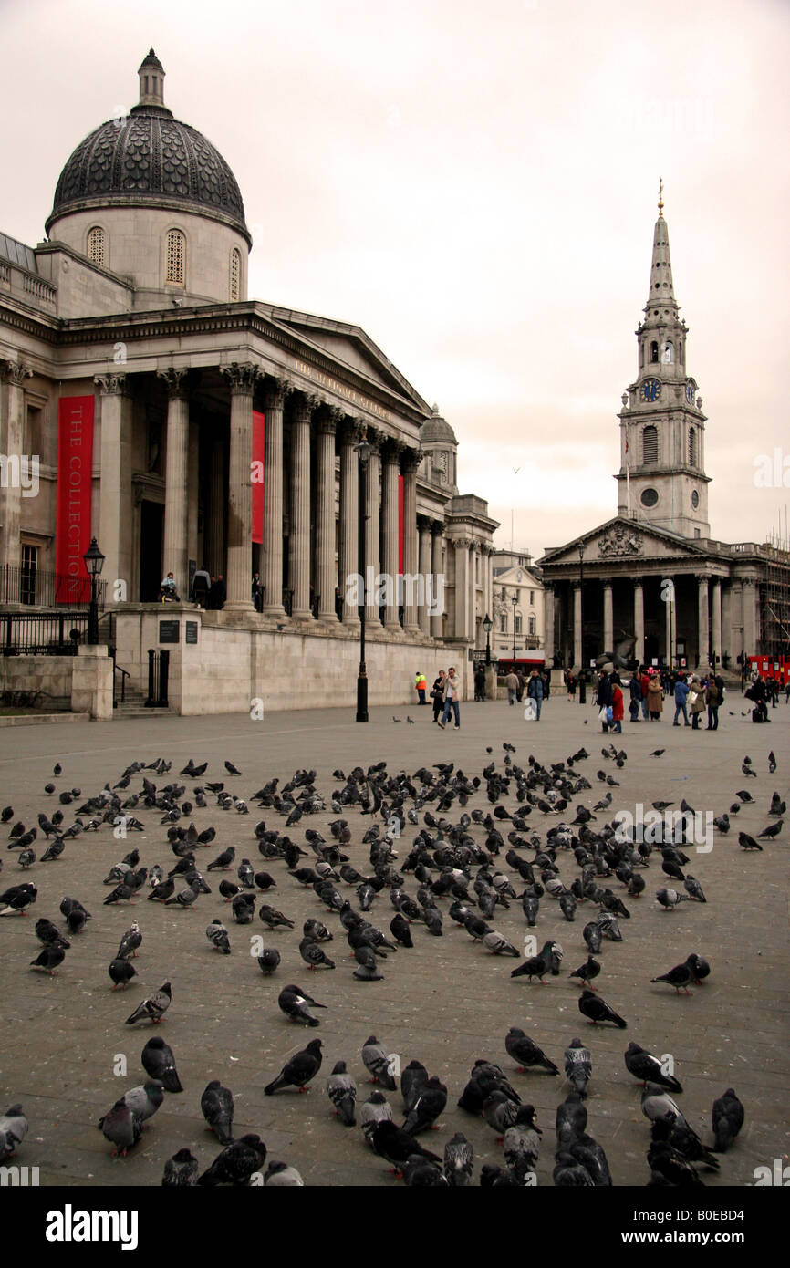 A view of Trafalgar Square onto the pigeons and the National Gallery (left) and St Martin in the Field Church (right). Stock Photo