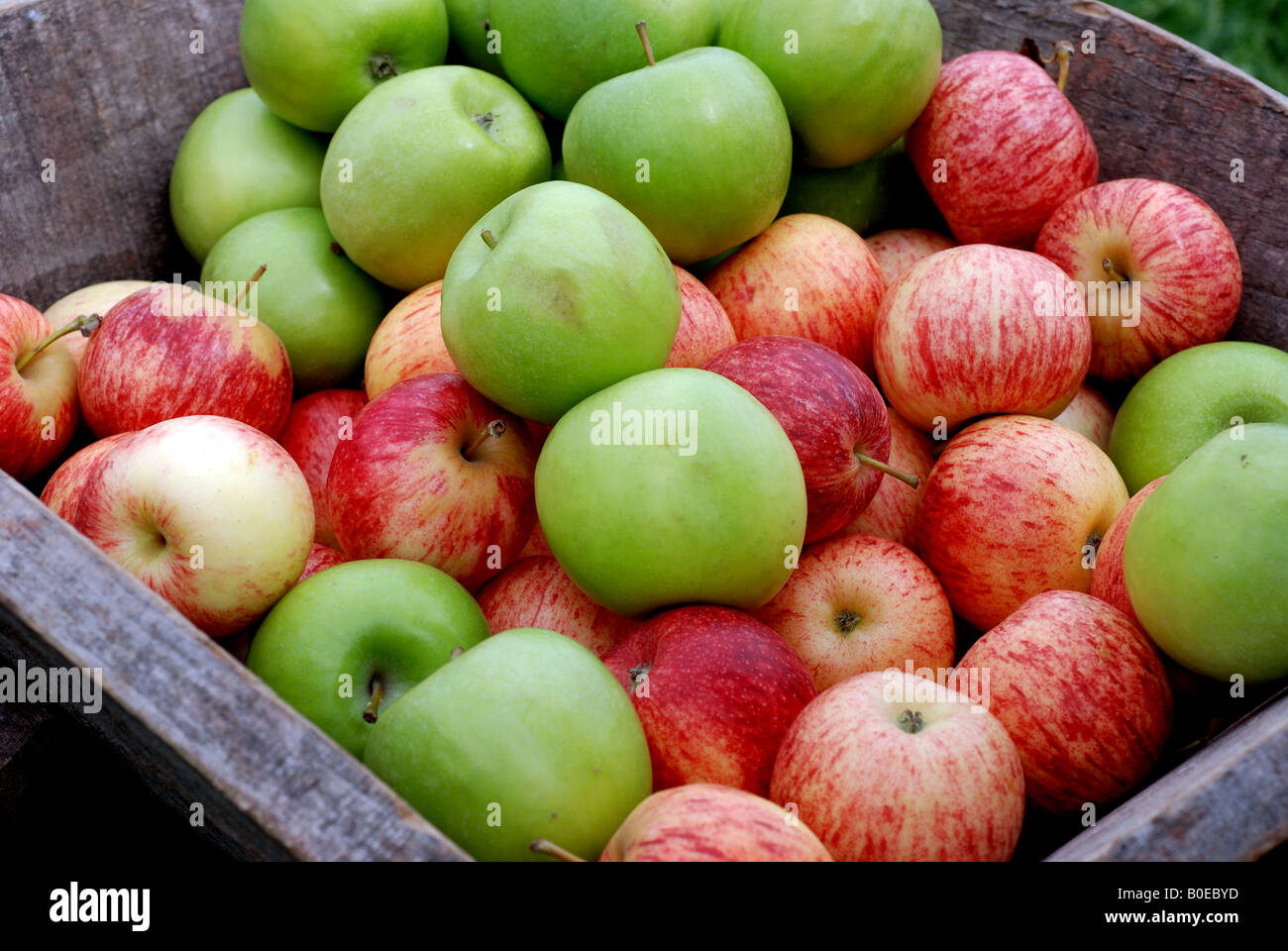 Types of apples hires stock photography and images Alamy