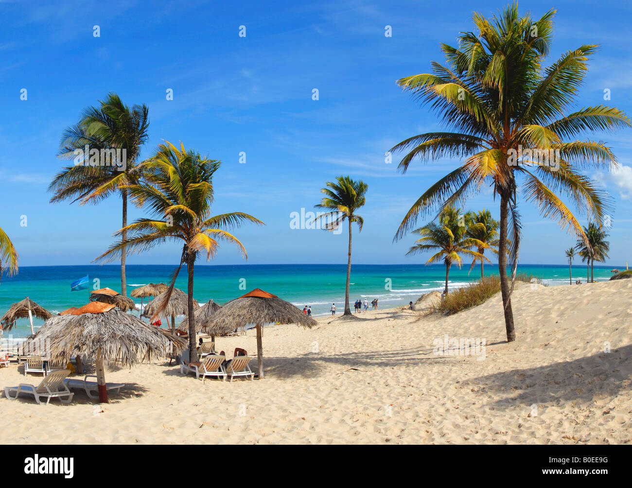 Palm trees on Playa del Este beach Havana Cuba Stock Photo